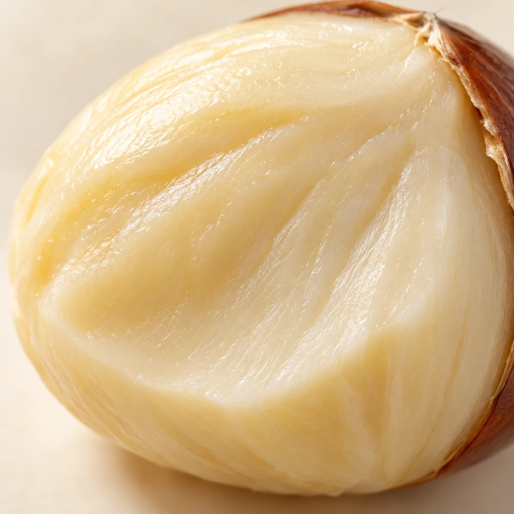 Chestnut macro